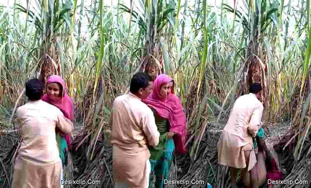Muslim Uncle Fucking Young desi Girl in Jungle Watch